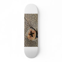 Skateboard Screw