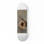 Skateboard Screw