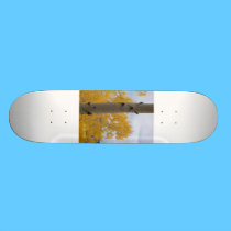 Skateboarding Abounds skateboards