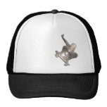 Skateboarding; Cool Black Trucker Hats
