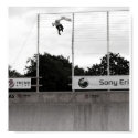skateboarding posters by xaustinx skateboarding posters