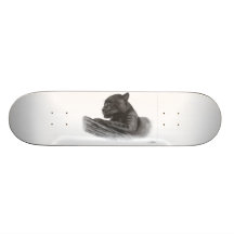 skateboards
