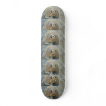 Skateboards made with photography 26