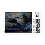 Skater Down! Postage Stamp