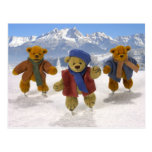 Skating Dinky Bears Post Cards