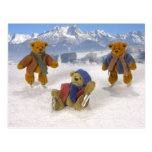 Skating Dinky Bears Postcards
