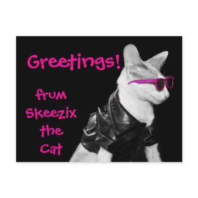 Skeezix the Cat Postcard by knichols1109