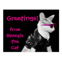 Skeezix the Cat Postcard postcards