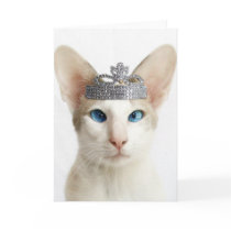 Skeezix wearing tiara cards by knichols1109 Skeezix wearing tiara cards