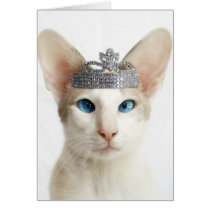 Skeezix wearing tiara cards