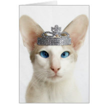 Skeezix wearing tiara cards