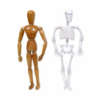 Skeleton100309 t-shirts