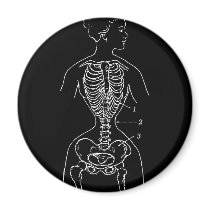 Skeleton and Corset magnets by opheliasart Skeleton and Corset magnets