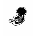 SKELETON BABY t-shirts by nassosvakalis SKELETON BABY t-shirts