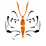 Skeleton Butterfly t-shirts