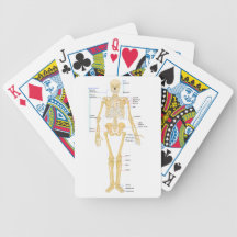 Skeleton Chart Card Deck