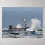 Skeleton Coast posters