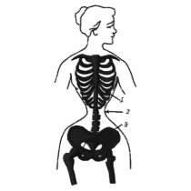 Skeleton Danger of Corsets Embroidered T-shirt embroidered shirts by opheliasart Skeleton Danger of Corsets Embroidered T-shirt embroidered shirts