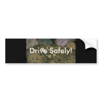 Skeleton Humor bumper stickers