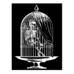 Skeleton in a Birdcage Postcards