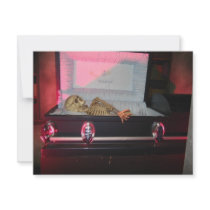 skeleton in coffin invitations