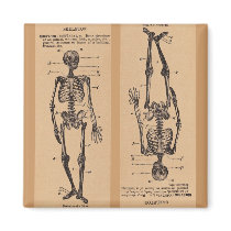 skeleton magnets
