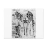 Skeleton Post Card