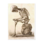 skeleton postcards