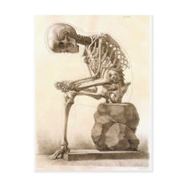 skeleton postcards