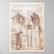 Skeleton Studies, Leonardo Da Vinci, 1510 Poster