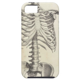 Skeleton Torso iPhone 5 Covers