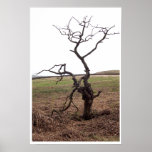 skeleton tree print