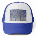 Skeleton Trees! hats by mypovilion Skeleton Trees! hats