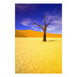 Skeleton trees in Dead Vlei Sossusvlei, Photo Art