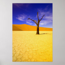Skeleton trees in Dead Vlei Sossusvlei,
