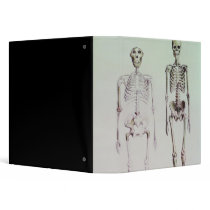 Skeletons of Australopithecus Boisei Binder