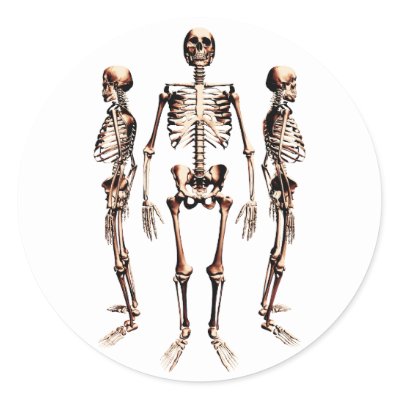 Skeletons Sticker