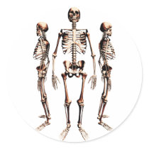 Skeletons stickers