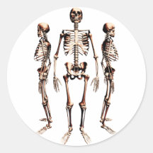 Skeletons Sticker