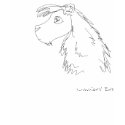 Sketch Lion t-shirts by Warriorseyes Sketch Lion t-shirts