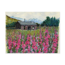 Sketchbook Classic Art-7-postcard