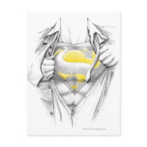 Sketched Chest Superman Logo Post Cards