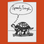 turtle, sketchy, kritters, amy, ridgeway, shokara,