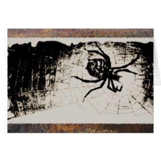 Sketchy Spider Cards