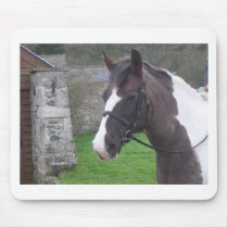 Skewbald Pony mousepads