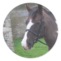 Skewbald Pony stickers by Bourach Skewbald Pony stickers