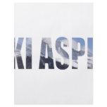 Ski Aspen flyers