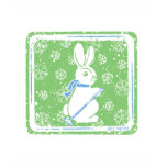 Ski Bunny Shirt