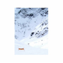 Ski In The Alps photo sculptures by lifesphere Ski In The Alps photo sculptures
