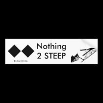 Ski - Nothing Too Steep bumper stickers